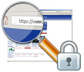 Look for https in the address bar and a lock to verify website security